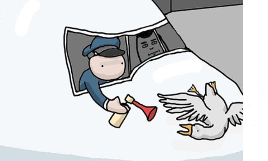 Pro Airport Hacks to Make Flying Suck Less #toggl.com #MartVirkus